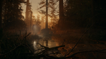 *Alan Wake 2 *XBOX SERIES XS Активация + GIFT*