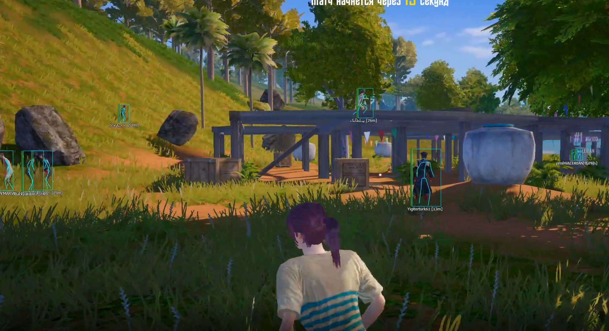 Buy Cis Only Cheat For Pubg Mobile 24 Hours And Download