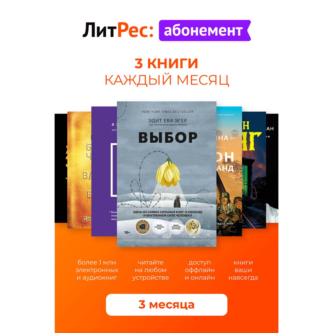 Литрес Абонемент на 3 месяца ПРОМОКОД купить ключ у Meshkov K ...