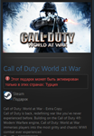Call of Duty: World at War STEAM GIFT Турция