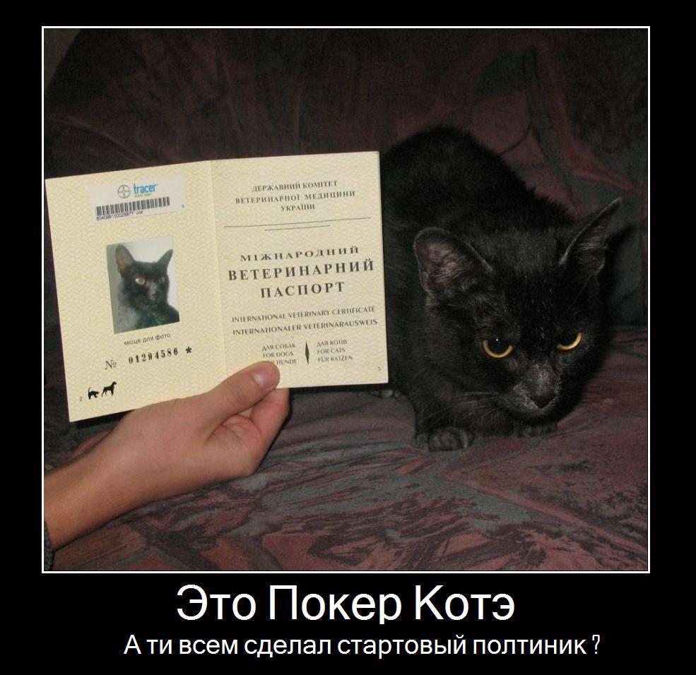 Стартовый капитал в покер 50$