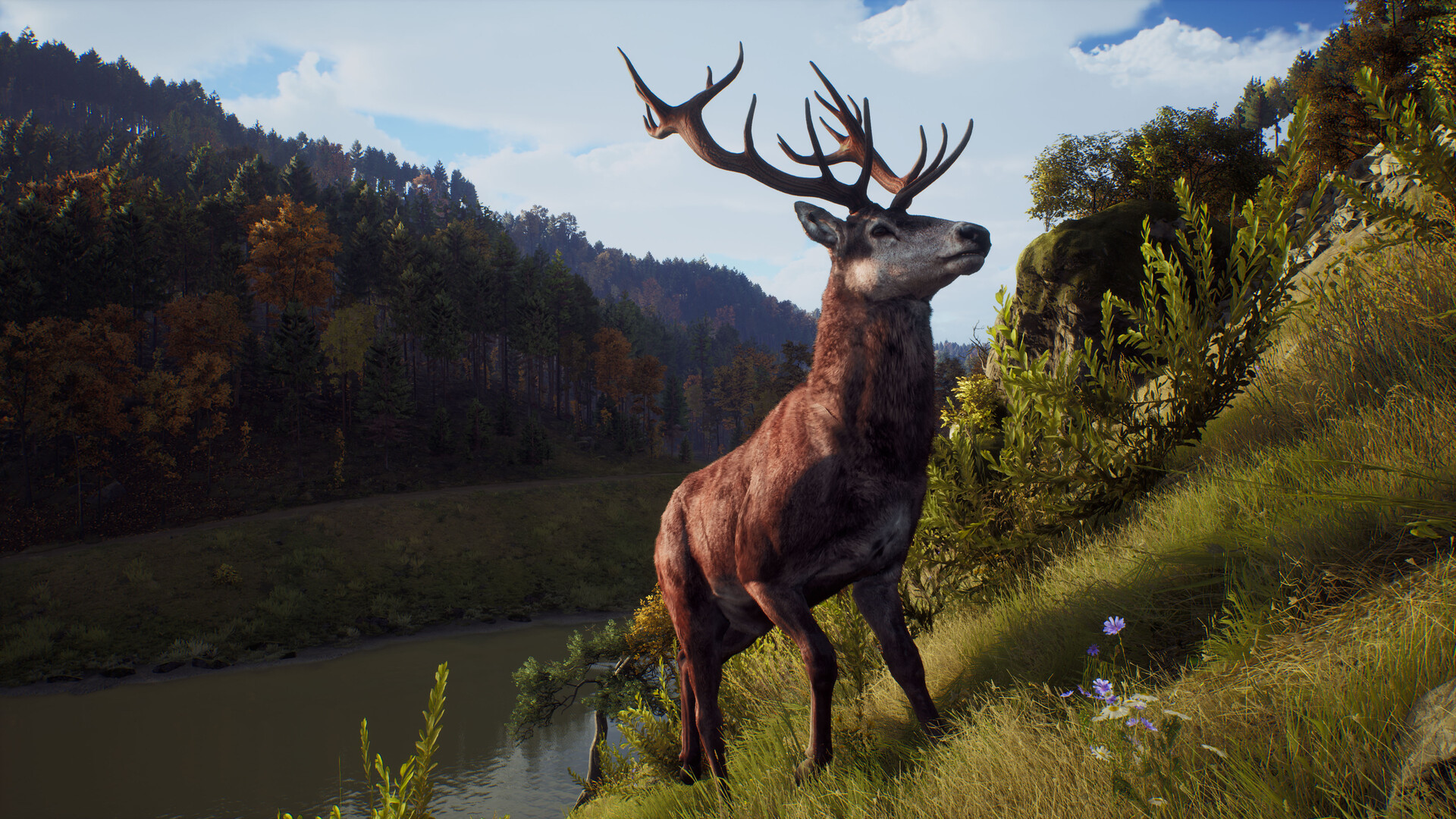 Way of the hunter на пк. Way of the Hunter игра. Way of the Hunter: Elite Edition. Лань the Hunter. Way of the Hunter животные.