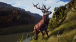 Way of the Hunter. STEAM-key (RU+CIS)