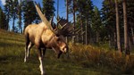 Way of the Hunter. STEAM-key (RU+CIS)