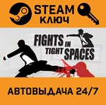 *Fights in Tight Spaces. STEAM-ключ (Global)