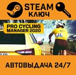 *Pro Cycling Manager 2020. STEAM-ключ (Global)
