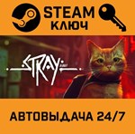 *Stray. STEAM-ключ (Global)