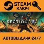 *Section 13. STEAM-ключ (Global)