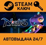 *NiGHTS into Dreams. STEAM-ключ (Global)
