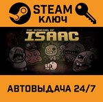 *The Binding of Isaac + Wrath of the Lamb DLC. STEAM-к