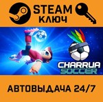 *Charrua Soccer: Pro Edition. STEAM-ключ (Global)