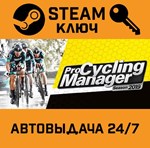 *Pro Cycling Manager 2019. STEAM-ключ (Global)