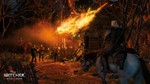 The Witcher III (Аренда Steam от 14 дней)