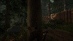⚡️The Forest | АВТОДОСТАВКА | Steam gift Россия - irongamers.ru