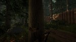 ⚡️Steam gift Russia - The Forest | AUTODELIVERY - irongamers.ru