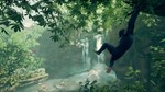 **Ancestors: The Humankind Odyssey | АВТО Steam Россия