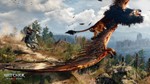 **The Witcher 3: Wild Hunt | АВТО | Steam Гифт Россия