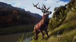**Way of the Hunter | АВТОДОСТАВКА [Россия Steam Gift]
