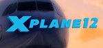 **X-Plane 12 | АВТОДОСТАВКА [Россия - Steam Gift]