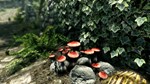 *The Elder Scrolls V: Skyrim Special Edition | АВТО РФ