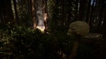 ⚡️Sons of the Forest | АВТОДОСТАВКА [Россия Steam Gift]