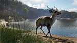 *theHunter: Call of the Wild™ - Emerald Coast Australia