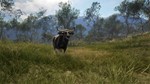 *theHunter: Call of the Wild™ - Emerald Coast Australia