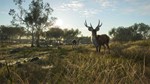*theHunter: Call of the Wild™ - Emerald Coast Australia