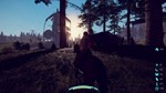 **Stars End | АВТОДОСТАВКА [Россия Steam Gift]