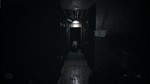 **Visage | АВТОДОСТАВКА [Россия Steam Gift]