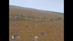**FPV Kamikaze Drone | АВТОДОСТАВКА [Россия Steam Gift]