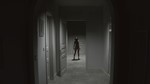 **Supernormal | АВТОДОСТАВКА [Россия Steam Gift]