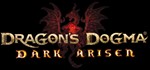 **Dragon´s Dogma: Dark Arisen | АВТО [RU Steam Gift]