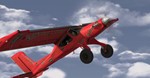 **RealFlight Evolution | АВТОДОСТАВКА [Россия Gift]
