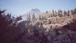 **Winter Survival | АВТОДОСТАВКА [Россия Steam Gift]
