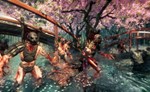 **Shadow Warrior | АВТОДОСТАВКА [Россия Steam Gift]