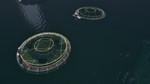 **Ships At Sea | АВТОДОСТАВКА [Россия Steam Gift]