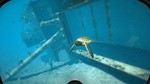 **World Of Diving | АВТОДОСТАВКА [Россия Steam Gift]