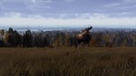 **Way of the Hunter - Lintukoto Reserve | АВТО RU Gift