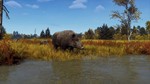 **Way of the Hunter - Lintukoto Reserve | АВТО RU Gift