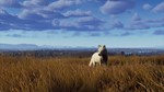 **Way of the Hunter - Lintukoto Reserve | АВТО RU Gift