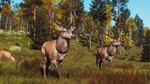 **Way of the Hunter - Lintukoto Reserve | АВТО RU Gift