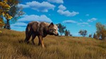 **Way of the Hunter - Lintukoto Reserve | АВТО RU Gift