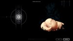 **Rain World: Downpour | АВТОДОСТАВКА Россия Steam Gift