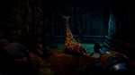 **Zoochosis | АВТОДОСТАВКА [Россия Steam Gift]