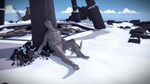 **The Witness | АВТОДОСТАВКА [Россия Steam Gift]