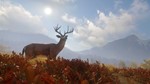 *theHunter: Call of the Wild|АВТОДОСТАВКА RU Steam Gift