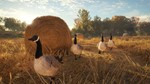 *theHunter: Call of the Wild|АВТОДОСТАВКА RU Steam Gift