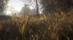 *theHunter: Call of the Wild|АВТОДОСТАВКА RU Steam Gift