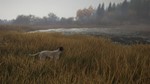 **theHunter: Call of the Wild- German Shorthaired Point